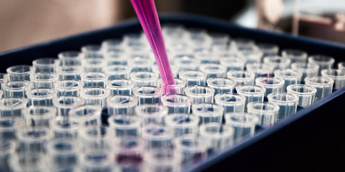 cGMP Gap Assessment and Remediation for Export-Oriented API Plant